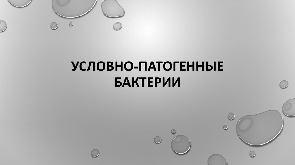 Условно патогенные микроорганизмы. Болезнетворные бактерии титульный лист.