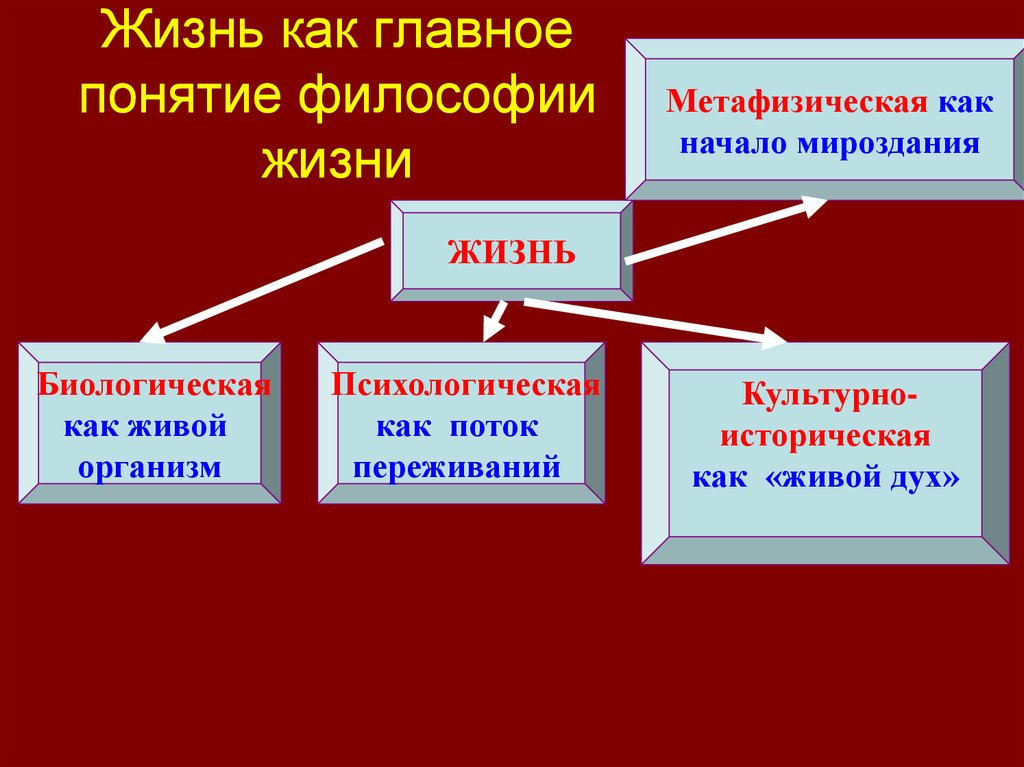 Понятие жизни в философии. Философия жизни основные понятия. Концепции жизни в философии. Философия жизни термины. Философия жизни ключевые понятия.