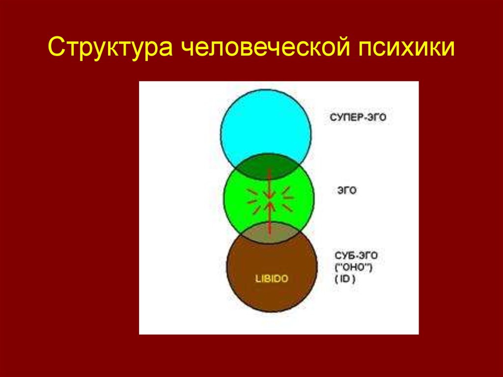 Структура человеческой. Семинар структура человеческой психики. Структура человеческой психики сложный план. Семинар структура человеческой психики план. Трехчастная структура личности картинки.