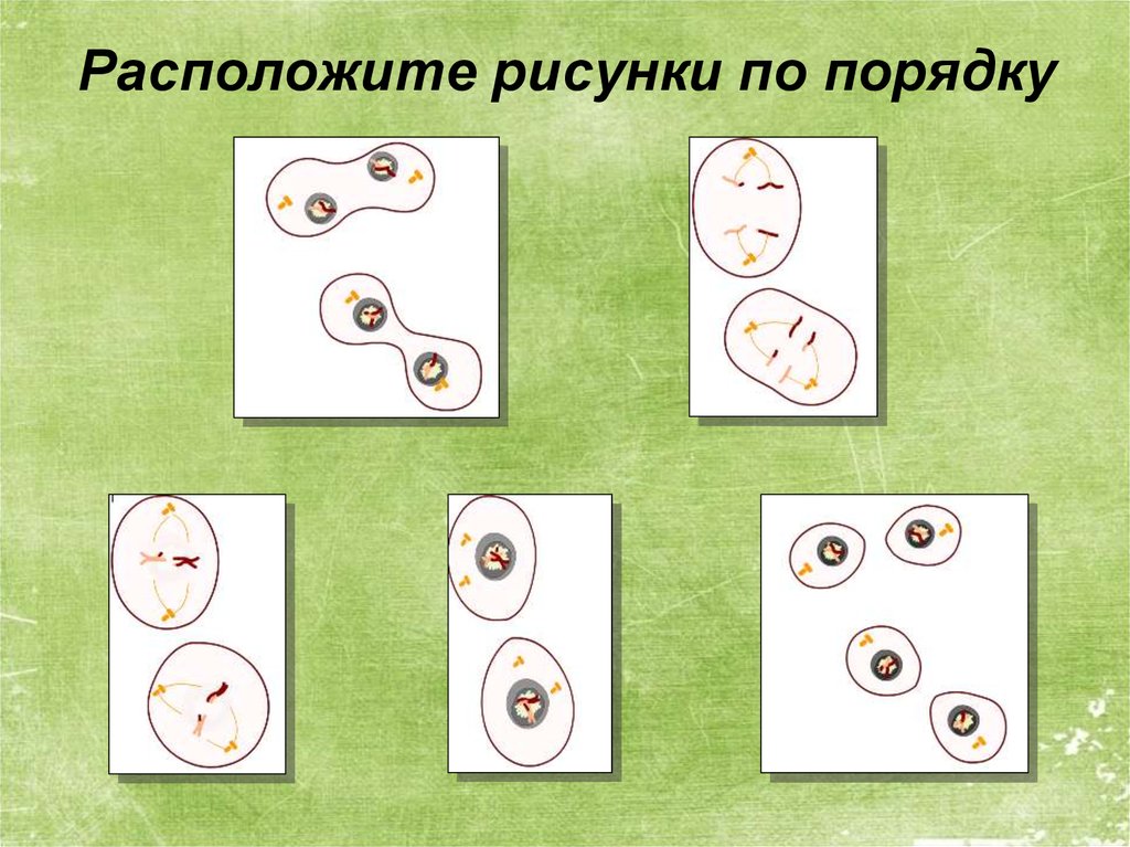 В каком порядке расположены рисунки. Рисование по порядку. Рисунки по порядку. Расположи рисунки по порядку. Расположите картинки по порядку.