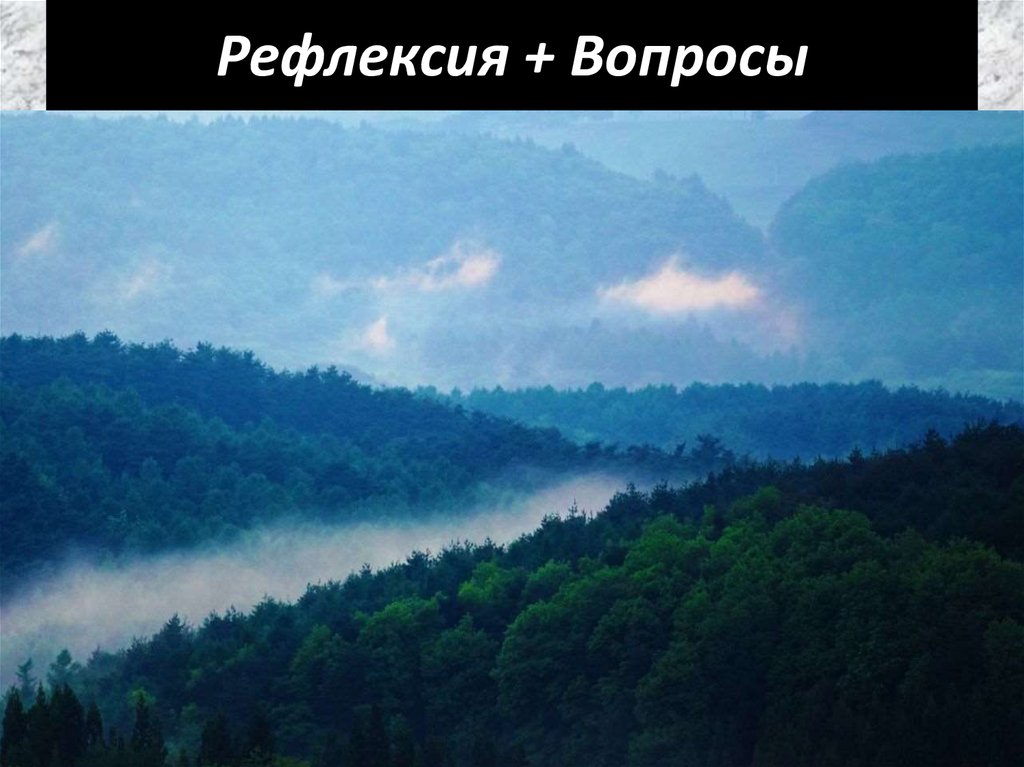 Рефлексия + Вопросы