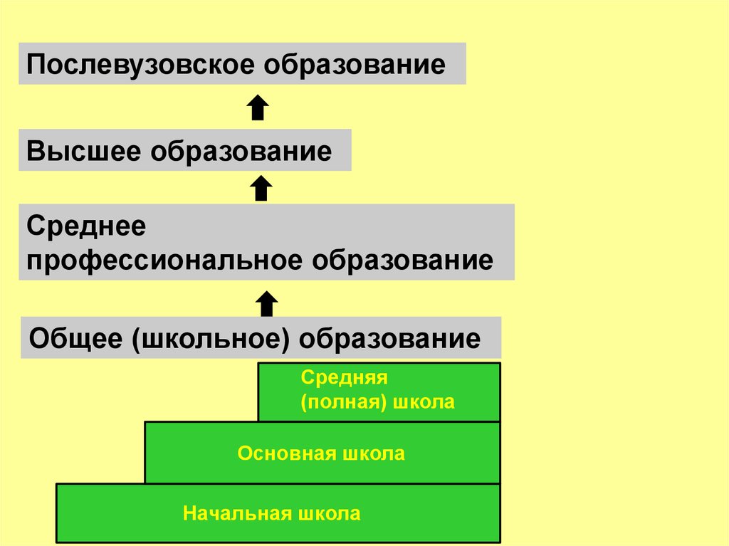 Обществознание тема образование. Образование для презентации. Ступени образования по обществознанию. Образование это в обществознании 5 класс. Общее школьное образование.