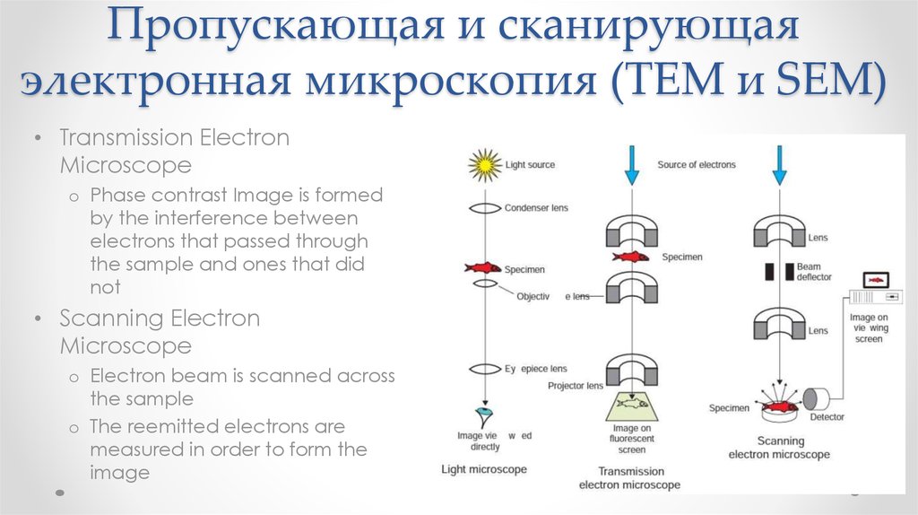 Схема работы пэм