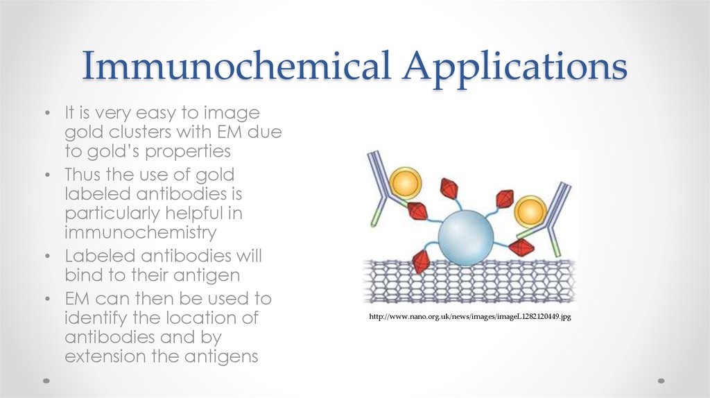 Immunochemical Applications