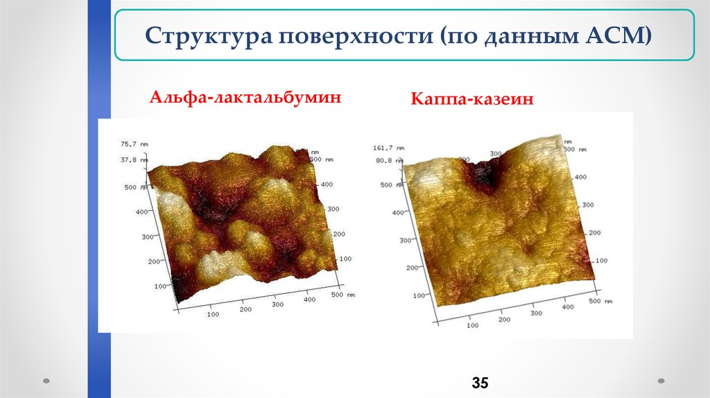 Альфа лактальбумин содержится. Бета-лактоглобулин структура. Альфа лактальбумин. Казеин белок структура. Каппа казеин.