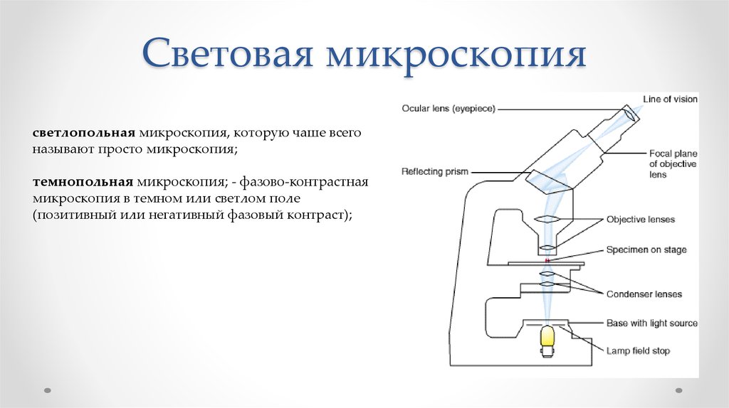 Правила микроскопии