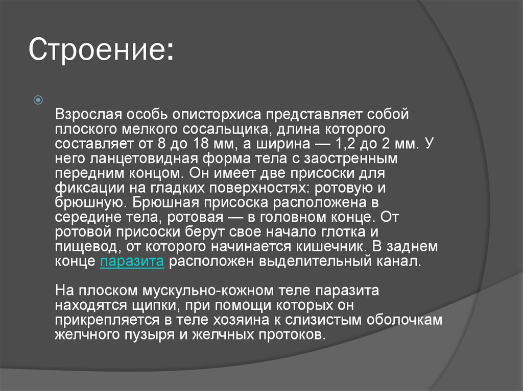 Описторхоз симптомы и лечение у взрослых диагностика