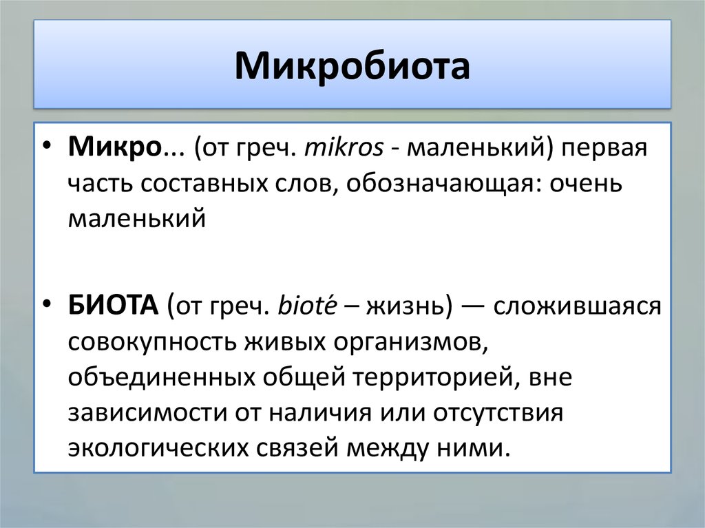 Микробиота человека презентация