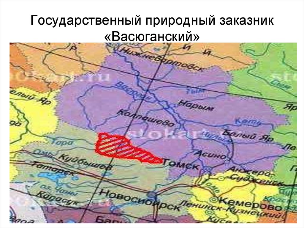 Карта васюганских болот новосибирской области