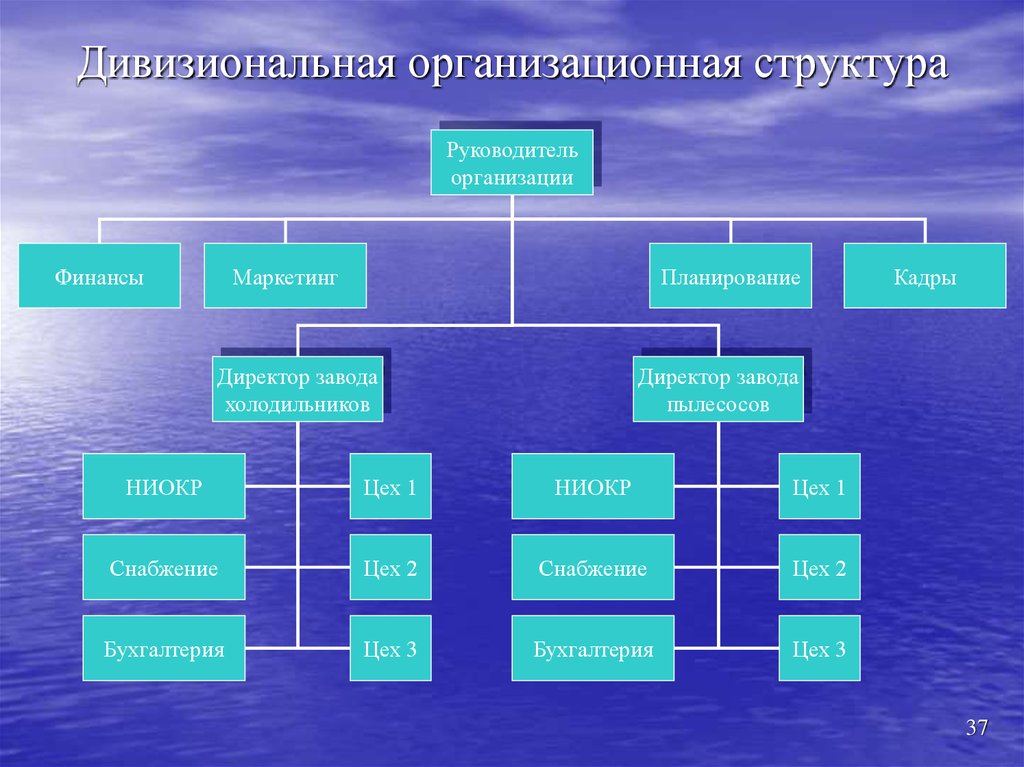 Дивизиональная организационная структура