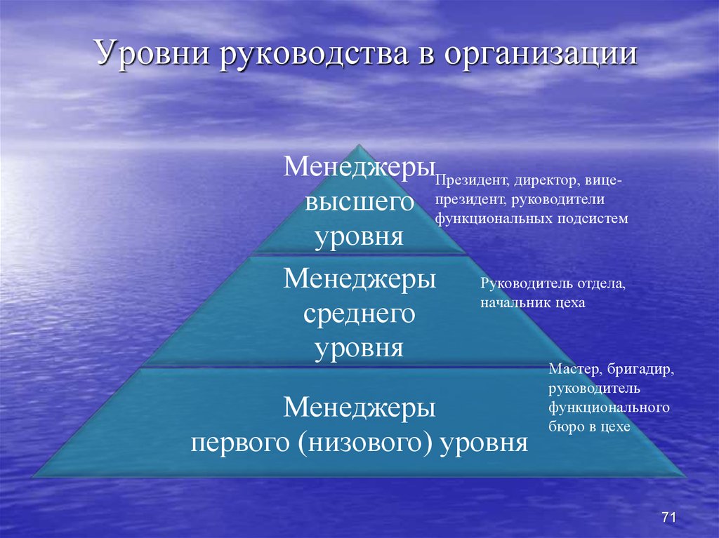 Основные типы руководства в овд