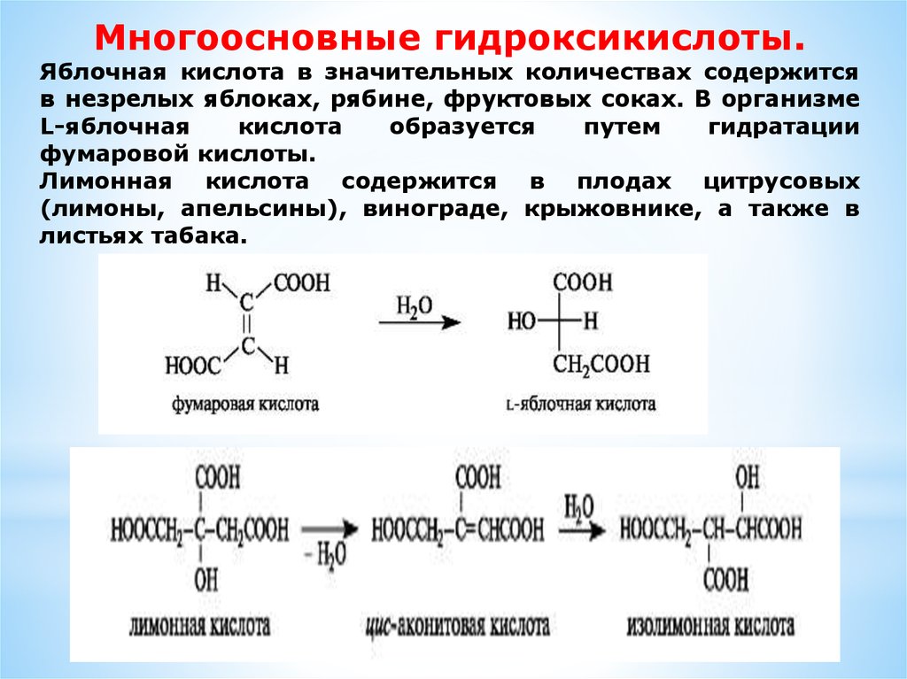 Много основные. Яблочная кислота из фумаровой кислоты. Яблочная кислота реакции. Образование фумаровой кислоты из яблочной. Получение яблочной кислоты.