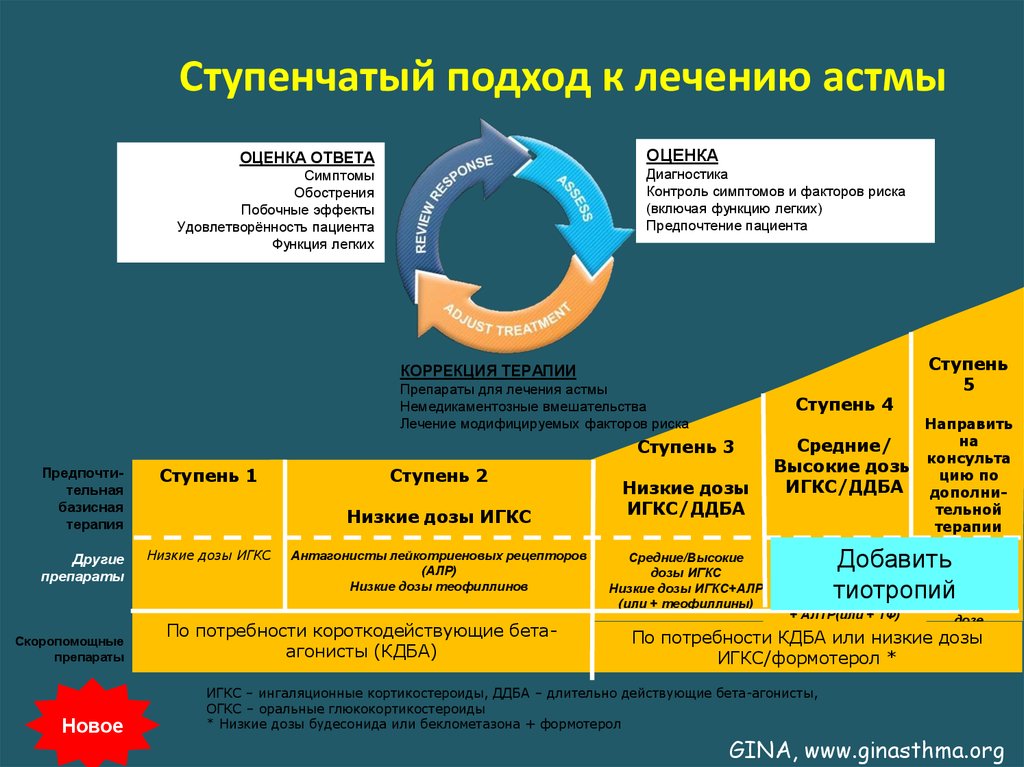 Астма студфайл. Ступени терапии бронхиальной астмы 2022. Ступенчатая терапия бронхиальной астмы ИГКС. Ступенчатая терапия бронхиальной астмы Gina 2022. Ступенчатый подход к лечению бронхиальной астмы.