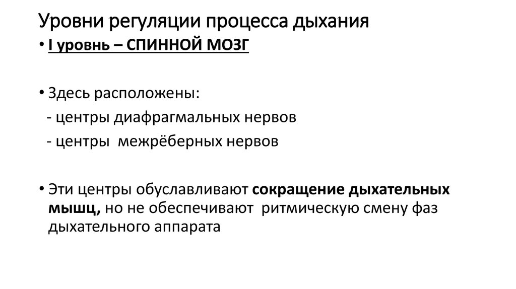 Химический процесс дыхания. Уровни регуляции. Уровни регуляции жизненных процессов. Уровни регуляции физиология. Уровни регуляции жизненных процессов биохимия.