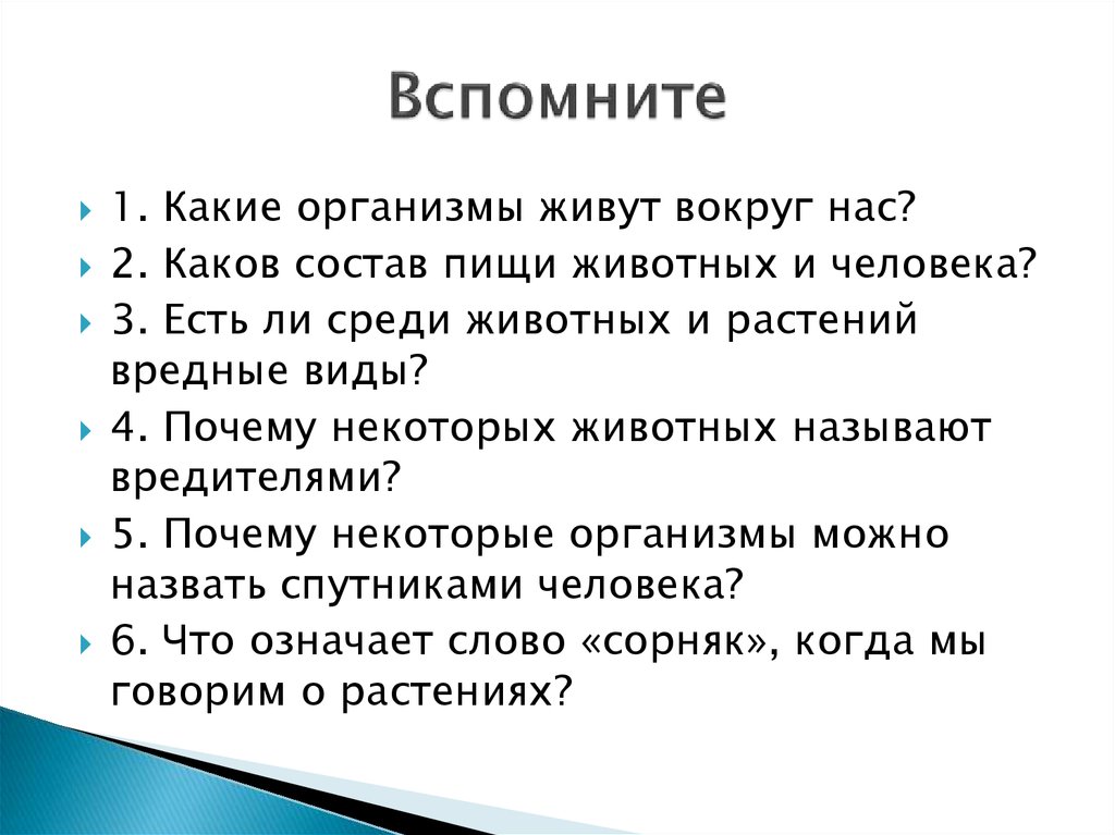 Какое значение для живого