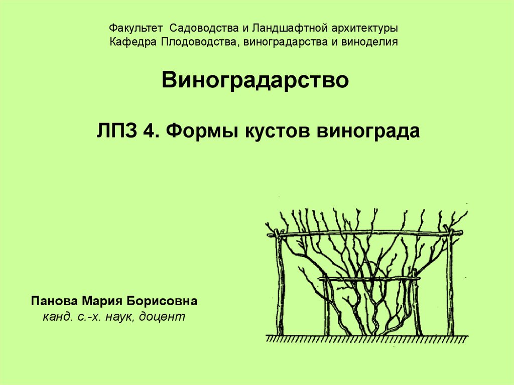 Характеристика садоводства и виноградарства по плану