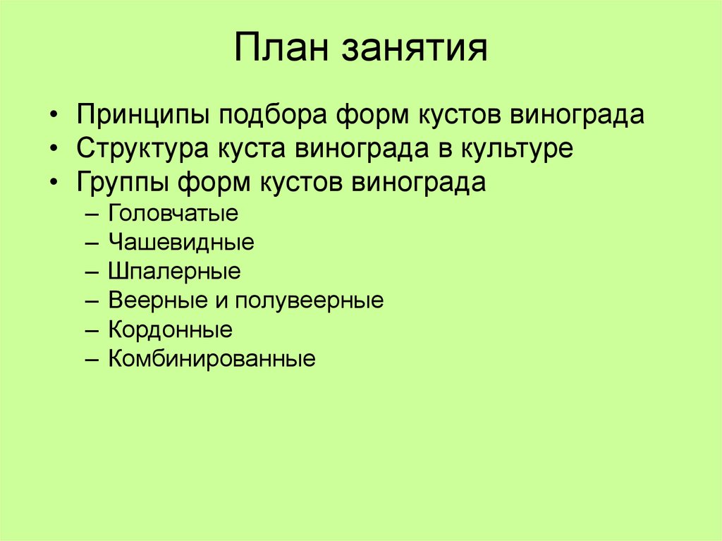 План занятия