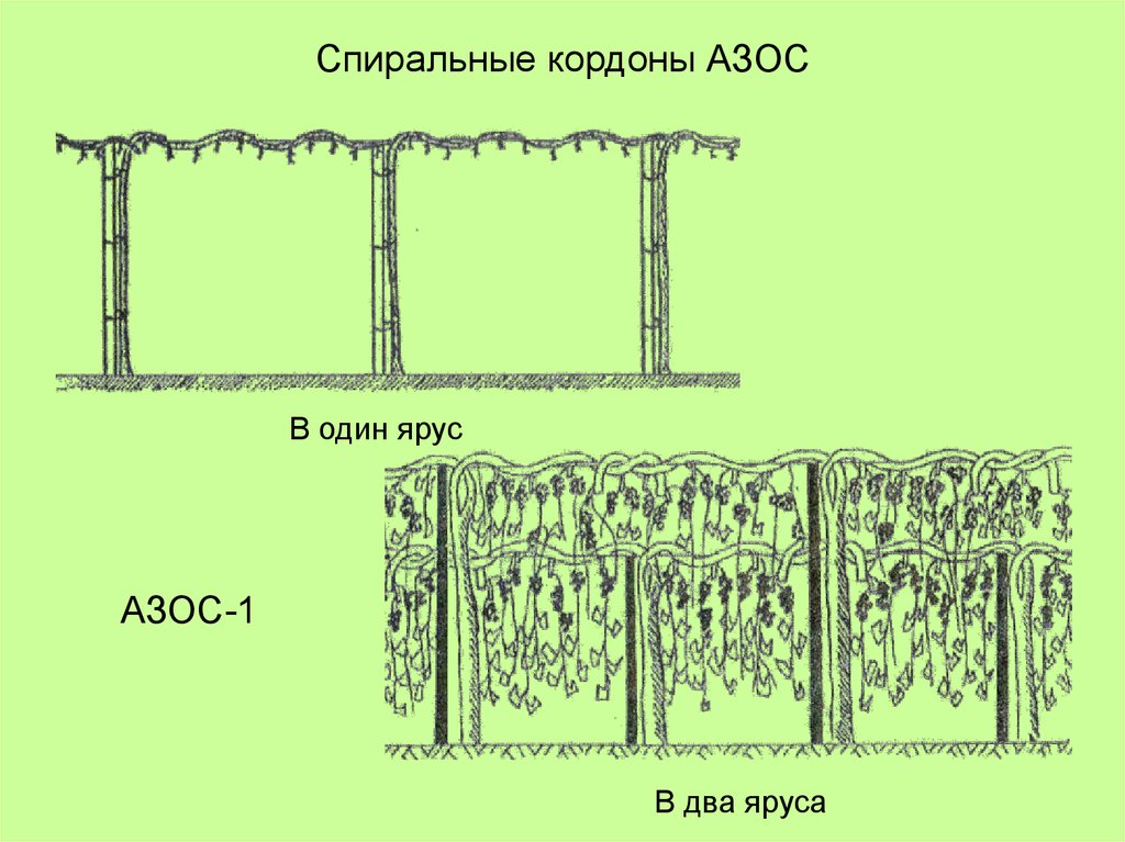 Спиральные кордоны АЗОС