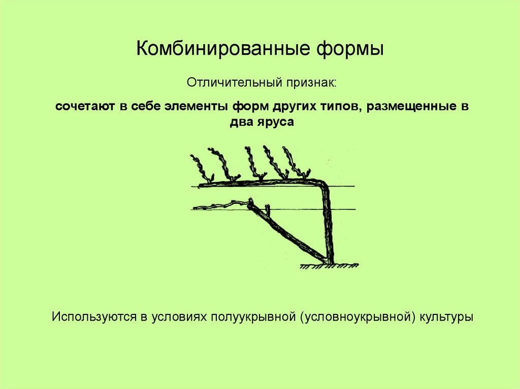 Комбинированные формы
