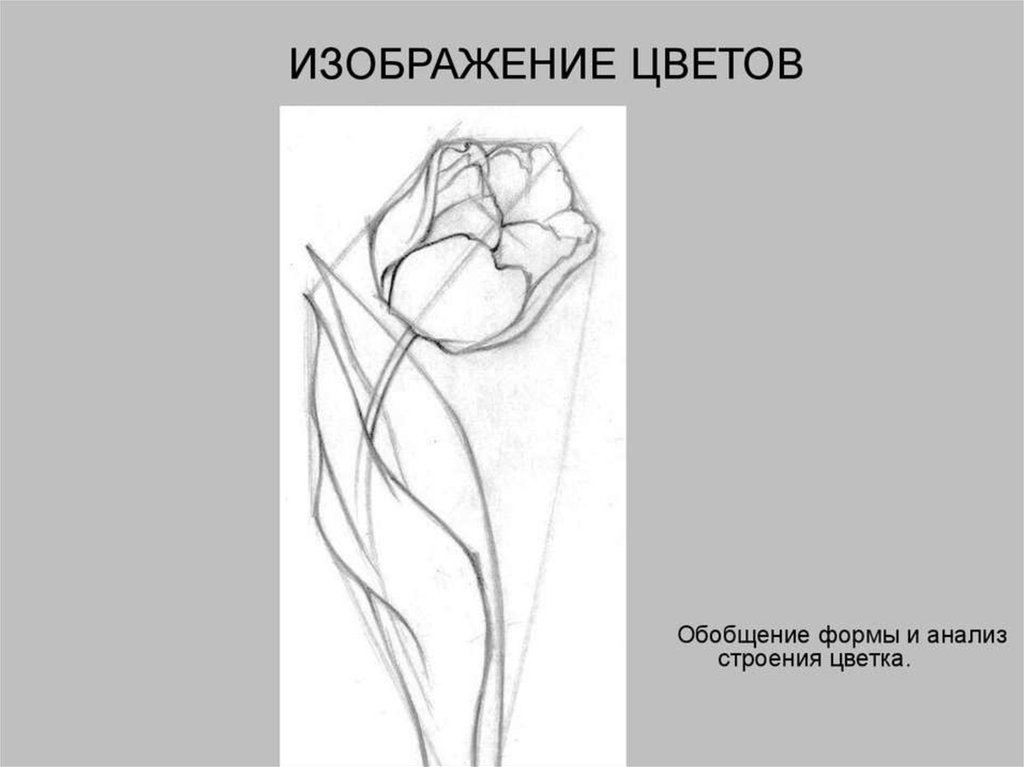 Рисунок этапы работы