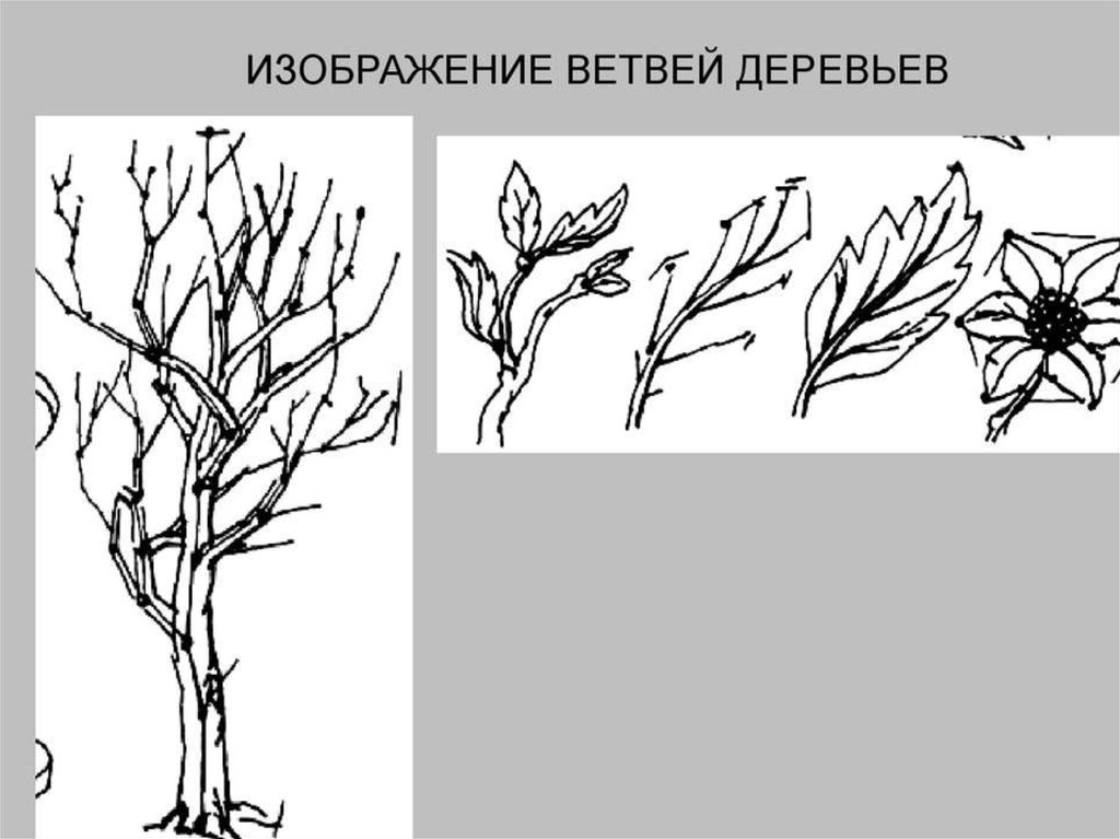 Изображение ветки с характером урок рисования 2 класс