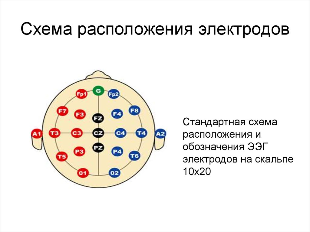 Схема наложения электродов ээг