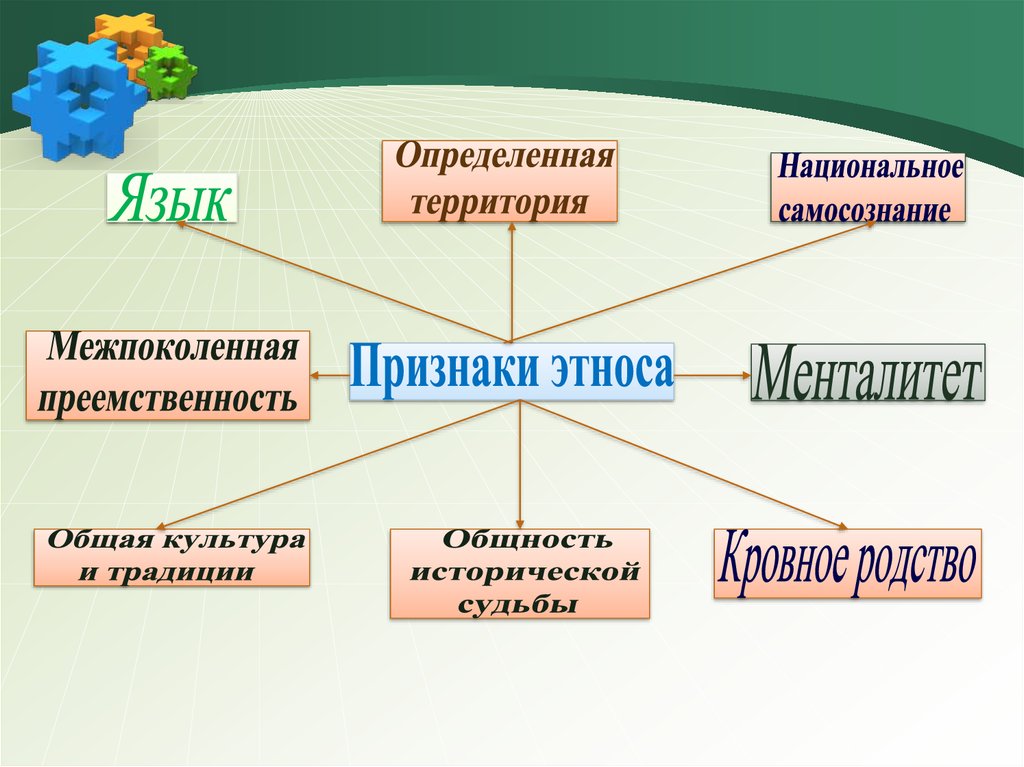 Признаки нации Обществознание 11 класс. Этнос и нация Обществознание. Признаки нации и этноса. Признаки этноса Обществознание 11 класс.