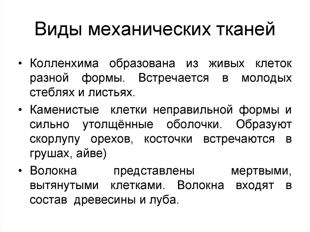 Механические свойства биологических тканей. Взаимосвязь механической ткани. Что образует механическая ткань. Утверждения механических тканей.