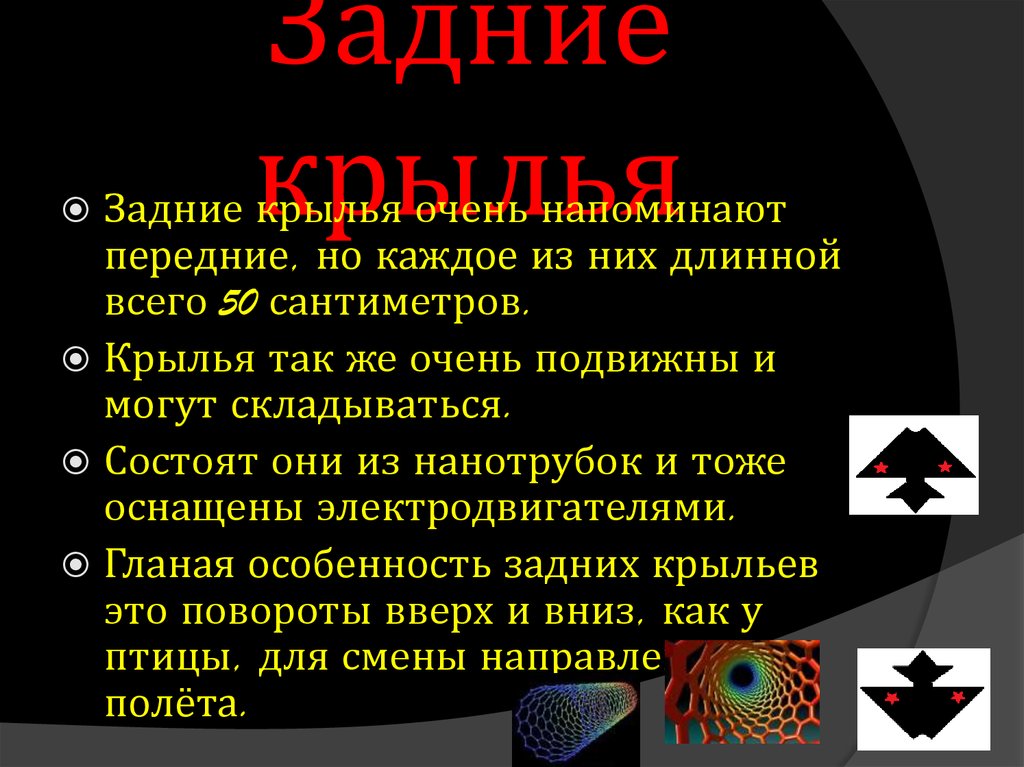 Задние крылья