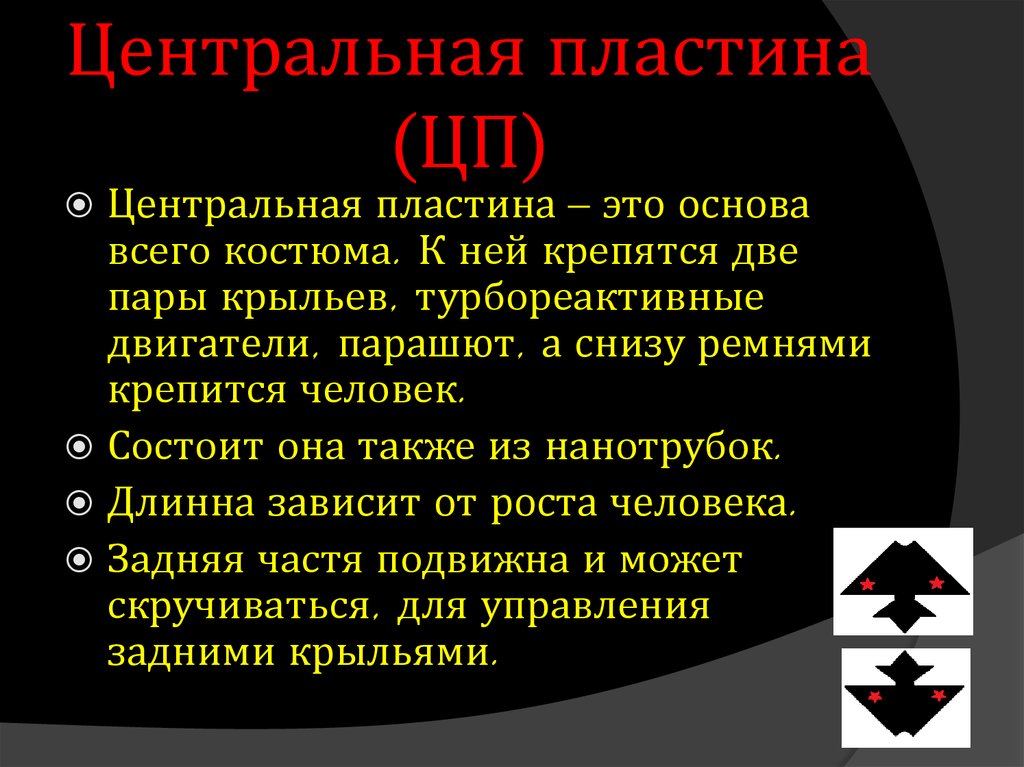 Центральная пластина (ЦП)