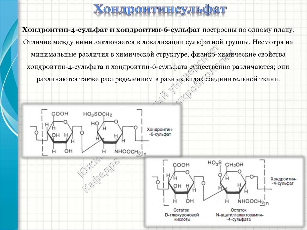 Хондроитин применение