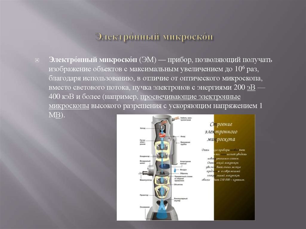 Электро́нный микроско́п