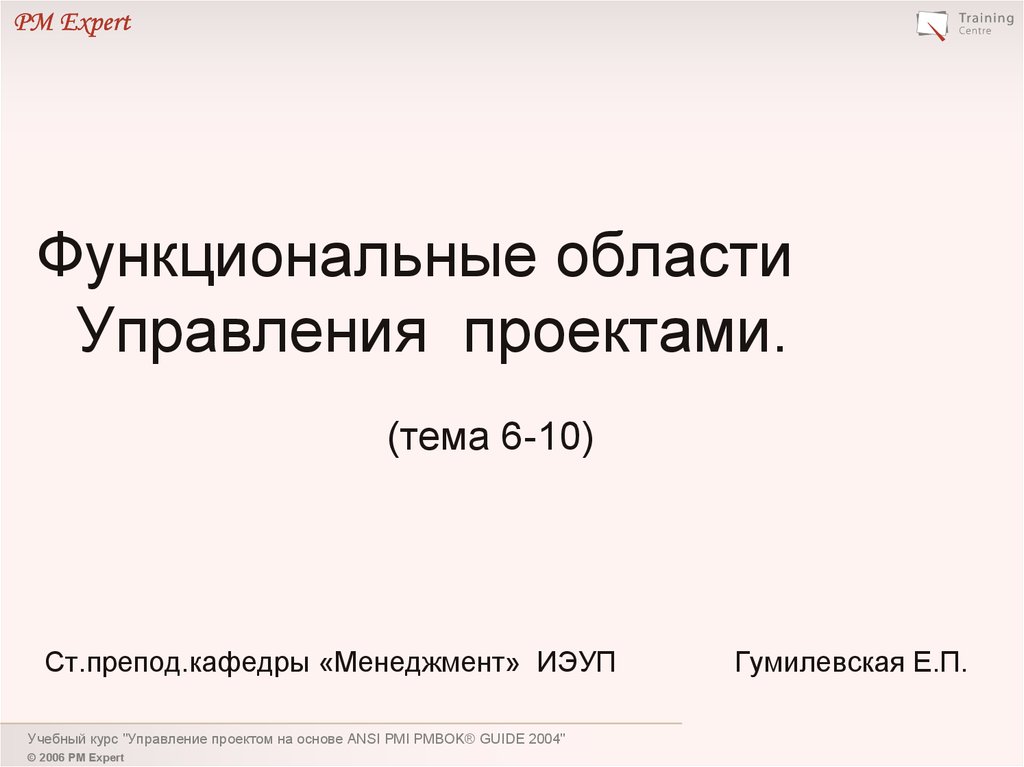 Функциональные области управления проектами