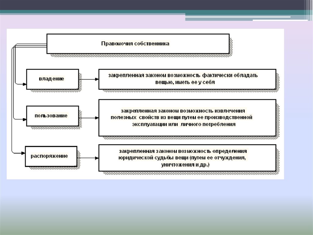 Форма собственности ооо