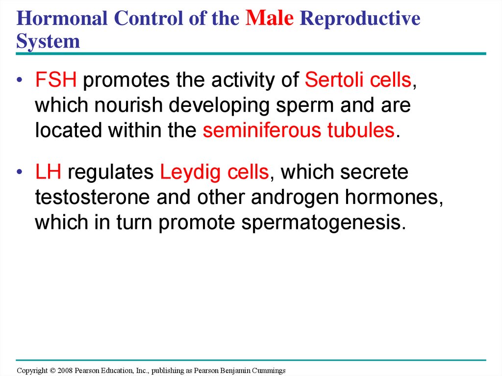 Hormonal Control of the Male Reproductive System
