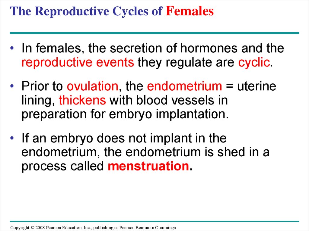 The Reproductive Cycles of Females