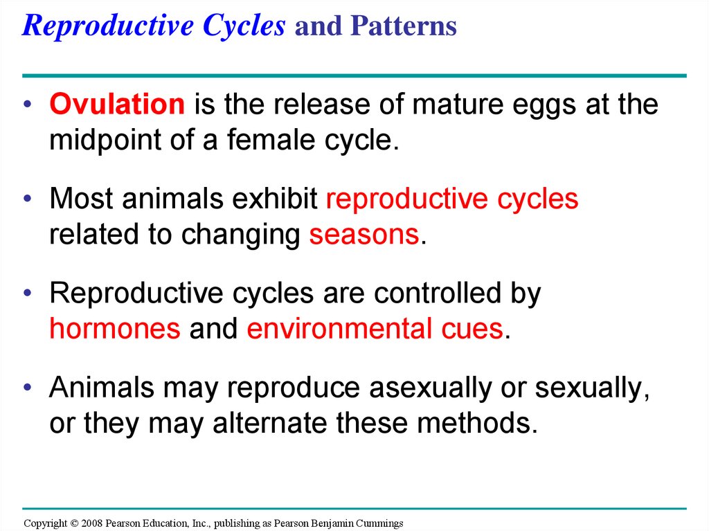 Reproductive Cycles and Patterns