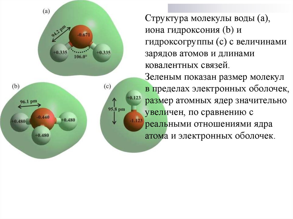 Строение атомов и молекул. Размер молекул и ионов. Структура молекул и ионов. Молекула воды ионы. Эффективный заряд атома в молекуле.