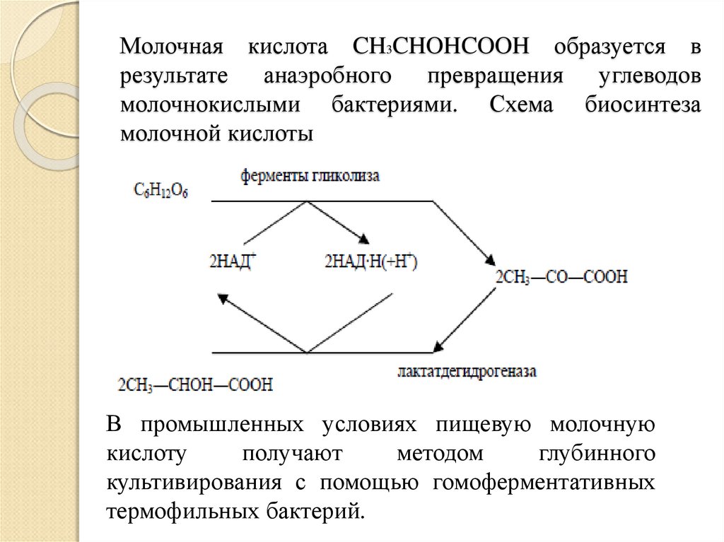 Молочная кислота CH3CHOHCOOH образуется в результате анаэробного превращения углеводов молочнокислыми бактериями. Схема