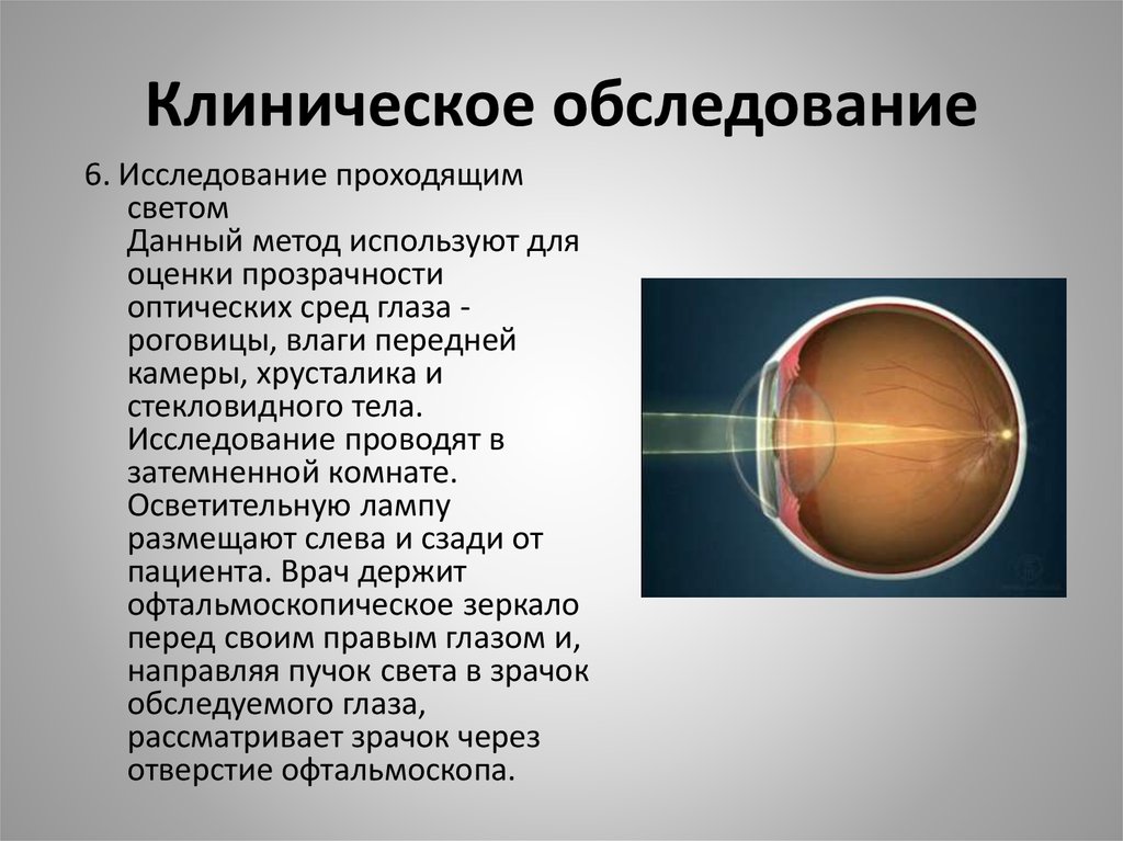 Перечислите оптические среды глаза. Методы исследования хрусталика. Методы исследования оптических сред глаза. Методы исследования хрусталика глаза. Методы исследования рогови.