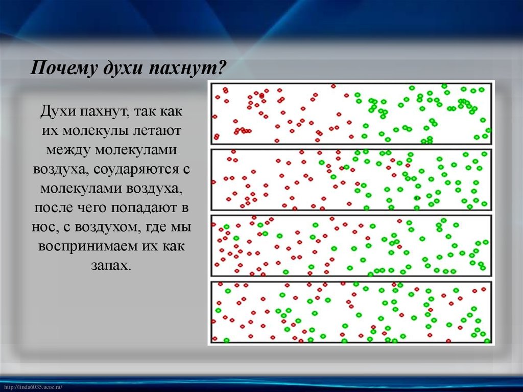 Чем объяснить распространение запаха духов в комнате