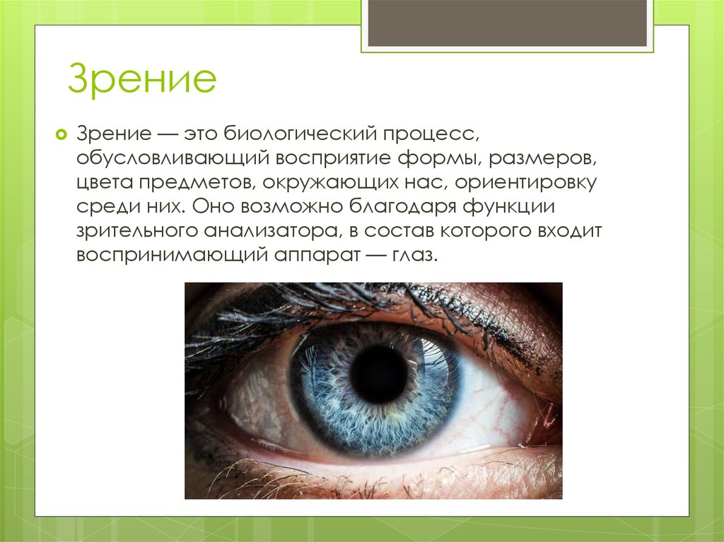 Особенно глаза. Зрение. Особенности глаз. Характер зрения в офтальмологии. Цветовое зрение обеспечивают.