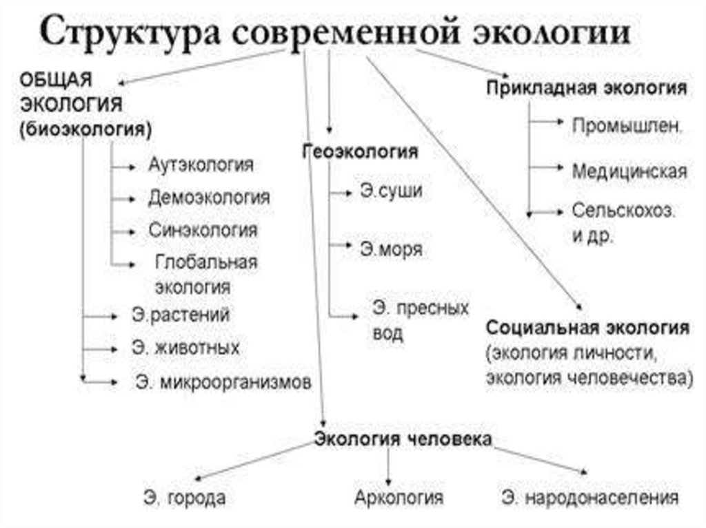 Схема взаимосвязь экологии с другими науками