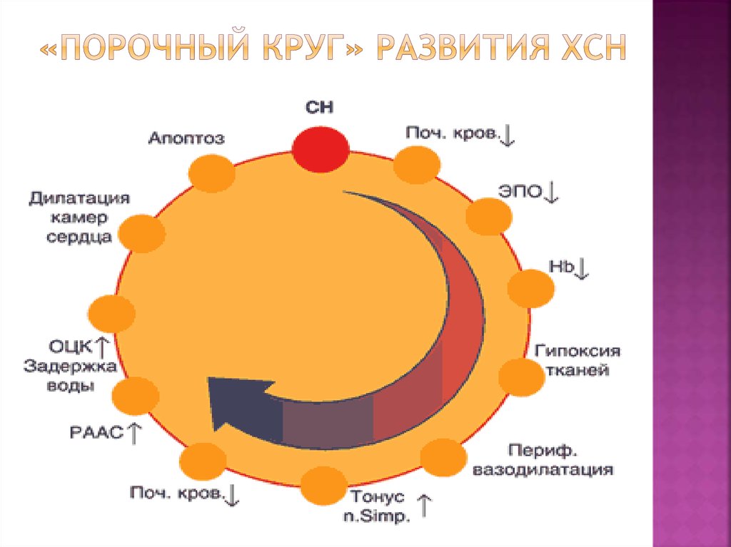 Круг развития. Порочный круг сердечной недостаточности. Порочный круг запор. Порочный круг в стоматологии. Порочный круг хронической сердечной недостаточности.