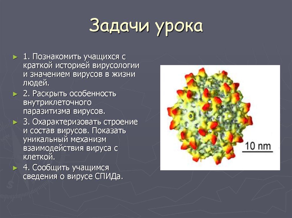 Virus 10. Неклеточные формы жизни вирусы и бактериофаги. Неклеточные формы. Вирусы неклеточная форма жизни кратко. Неклеточные структуры организма.