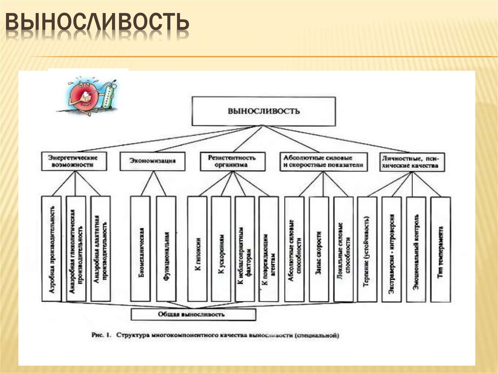 Методы воспитания качества выносливости. Общая и специальная выносливость схема. Классификация специальной выносливости. Средства развития выносливости схема. Специальная выносливость таблица.