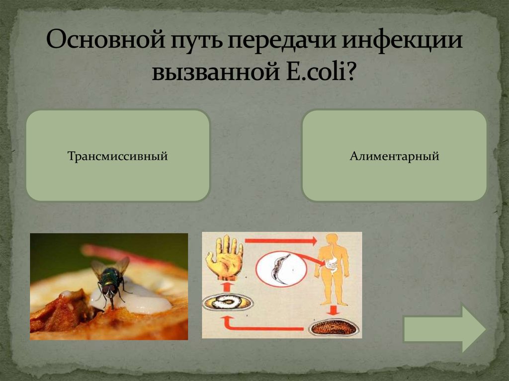 Трансмиссивный путь передачи это. Алиментарный Трансмиссивный путь передачи. Алиментарный и Трансмиссивный. Пути заражения малярией. Трансмиссивный факторы передачи.