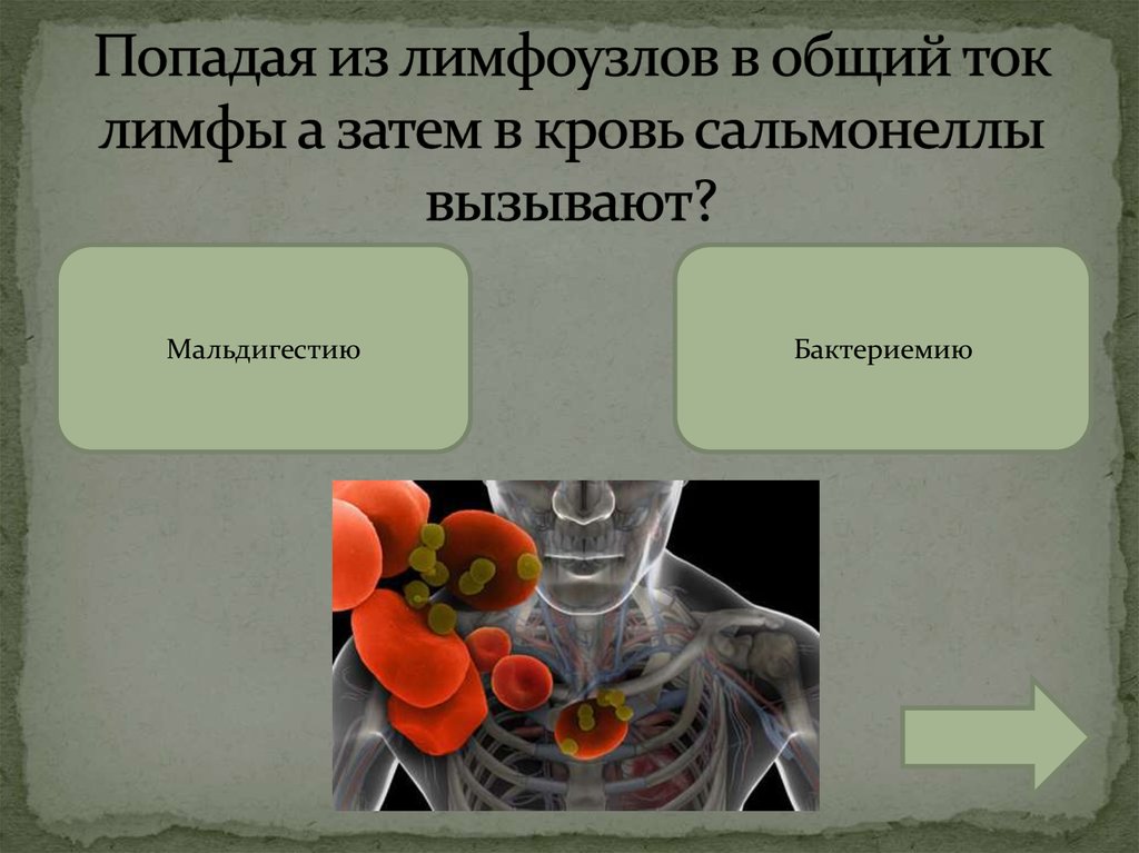 Попадая из лимфоузлов в общий ток лимфы а затем в кровь сальмонеллы вызывают?