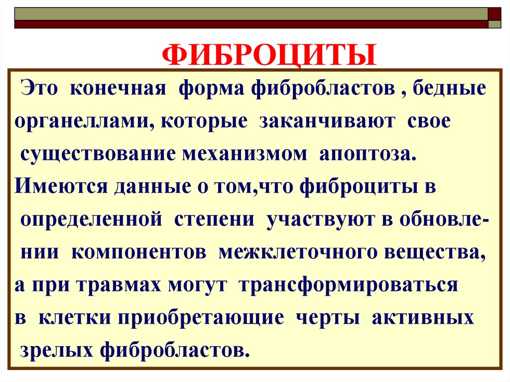 Конечная форма. Фибробласты фиброциты фибробласты. Фибробласты функции. Фиброциты строение и функции. Фиброцит функции гистология.