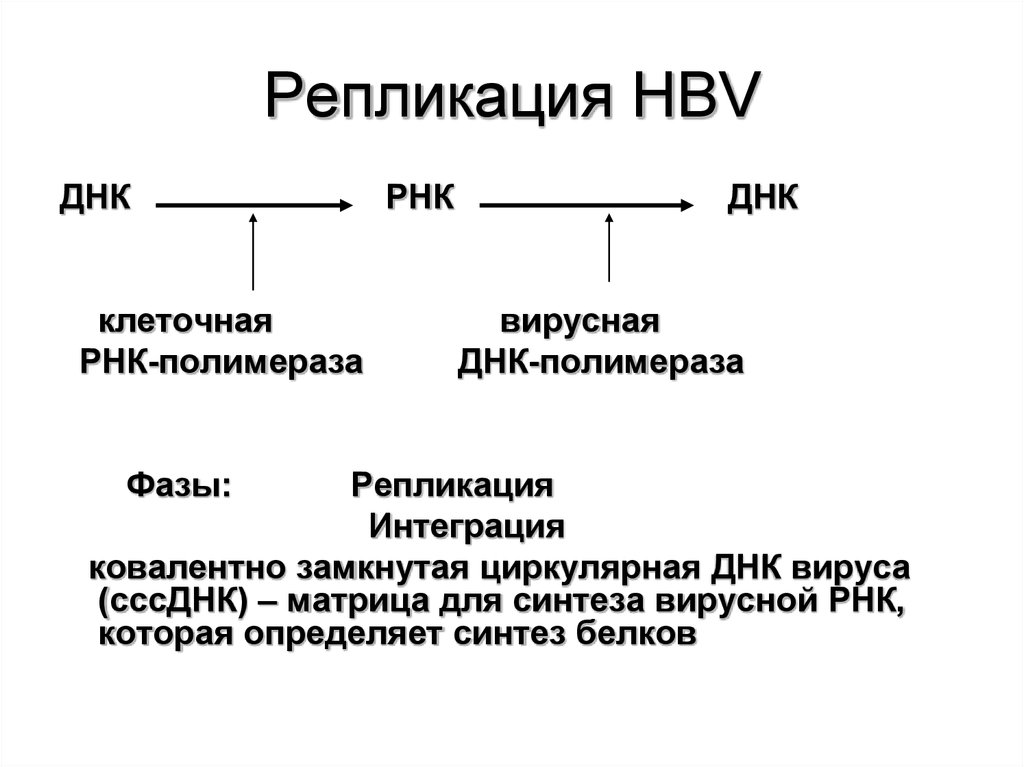 Синтез вирусного